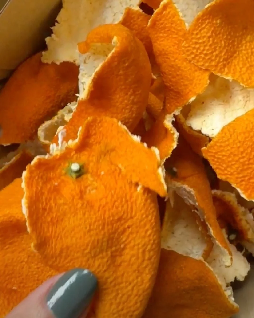 染料となるみかんの果皮