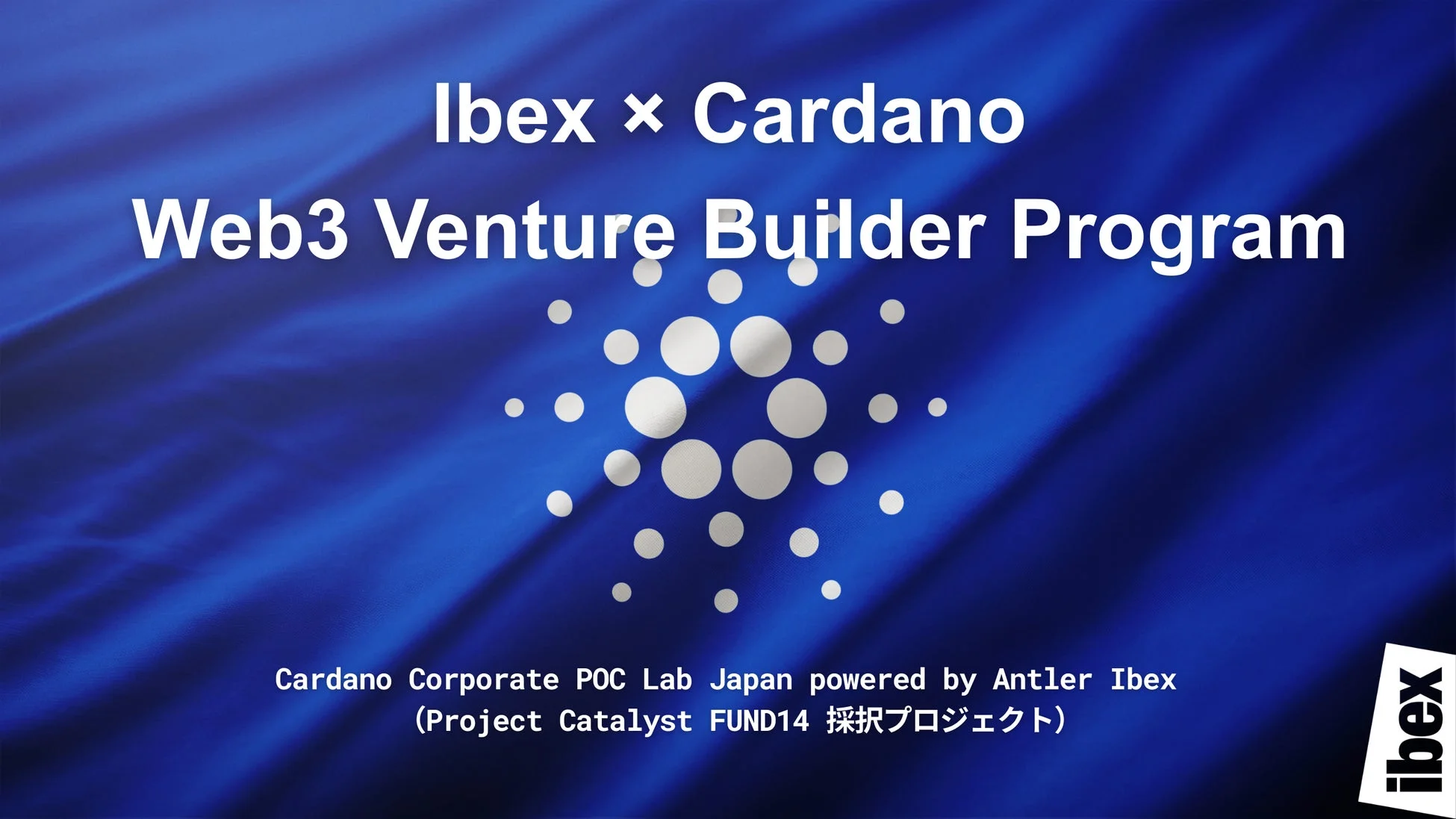 Ibex x Cardano Web3 Venture Builder Programの概要