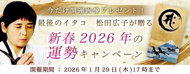 【2026年最新版】AI検索時代のコンテンツ戦略を徹底解説！無料ウェビナー開催決定✨