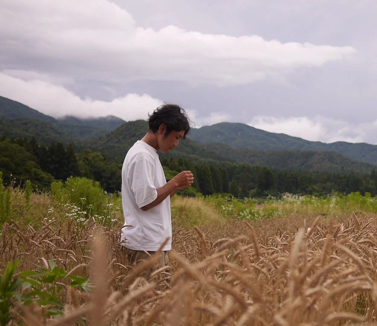 麦畑に立つ男性