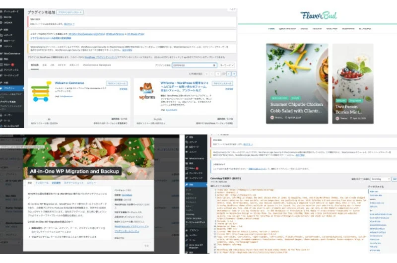 WordPressプラグイン管理とウェブサイト開発