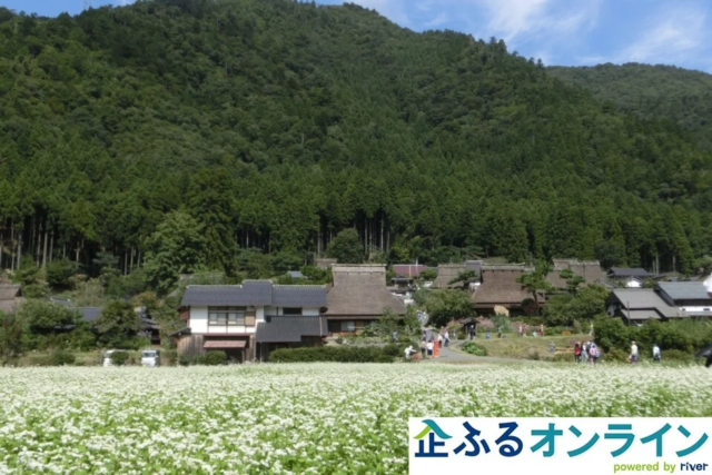 京都府南丹市、美しい「かやぶき景観」を未来へ繋ぐ企業版ふるさと納税プロジェクトが始動！🏡✨