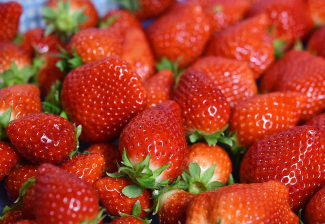 若年層を狙う「SNS個人間融資」が急増中！闇金被害の実態と対策を専門家が警鐘🚨