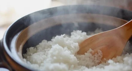 湯気が立ち上る土鍋の中で炊きたてのご飯