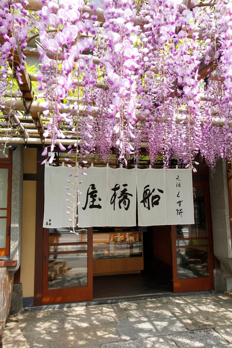 船橋屋ののれんと藤の花