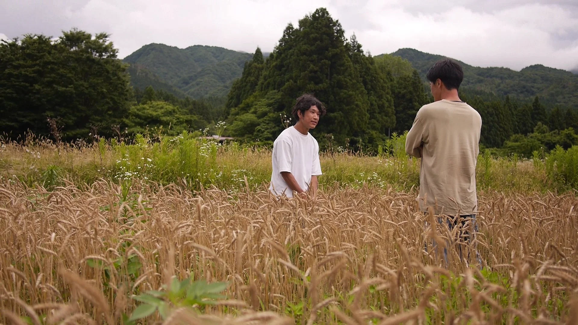麦畑に立つ二人の男性