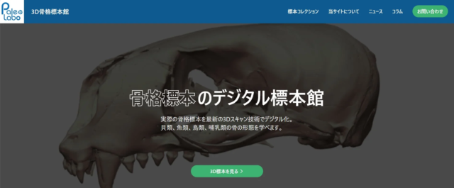 Root onが「3D骨格標本館」Webプラットフォームを開発！学術・教育分野に革新をもたらすデジタルアーカイブ🔬✨