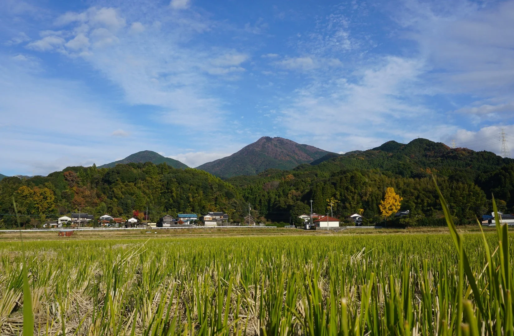 秋の田園風景