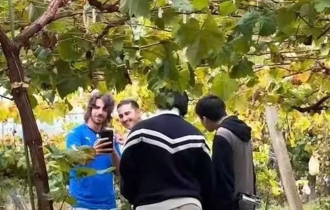 山梨のぶどう畑で談笑する男性たち