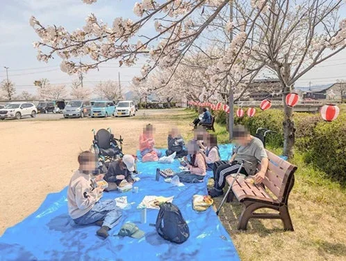 桜が満開の公園で、人々が青いシートを広げてピクニックを楽しんでいます。