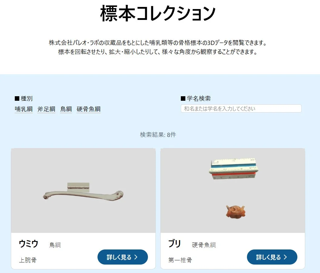 標本コレクション検索画面