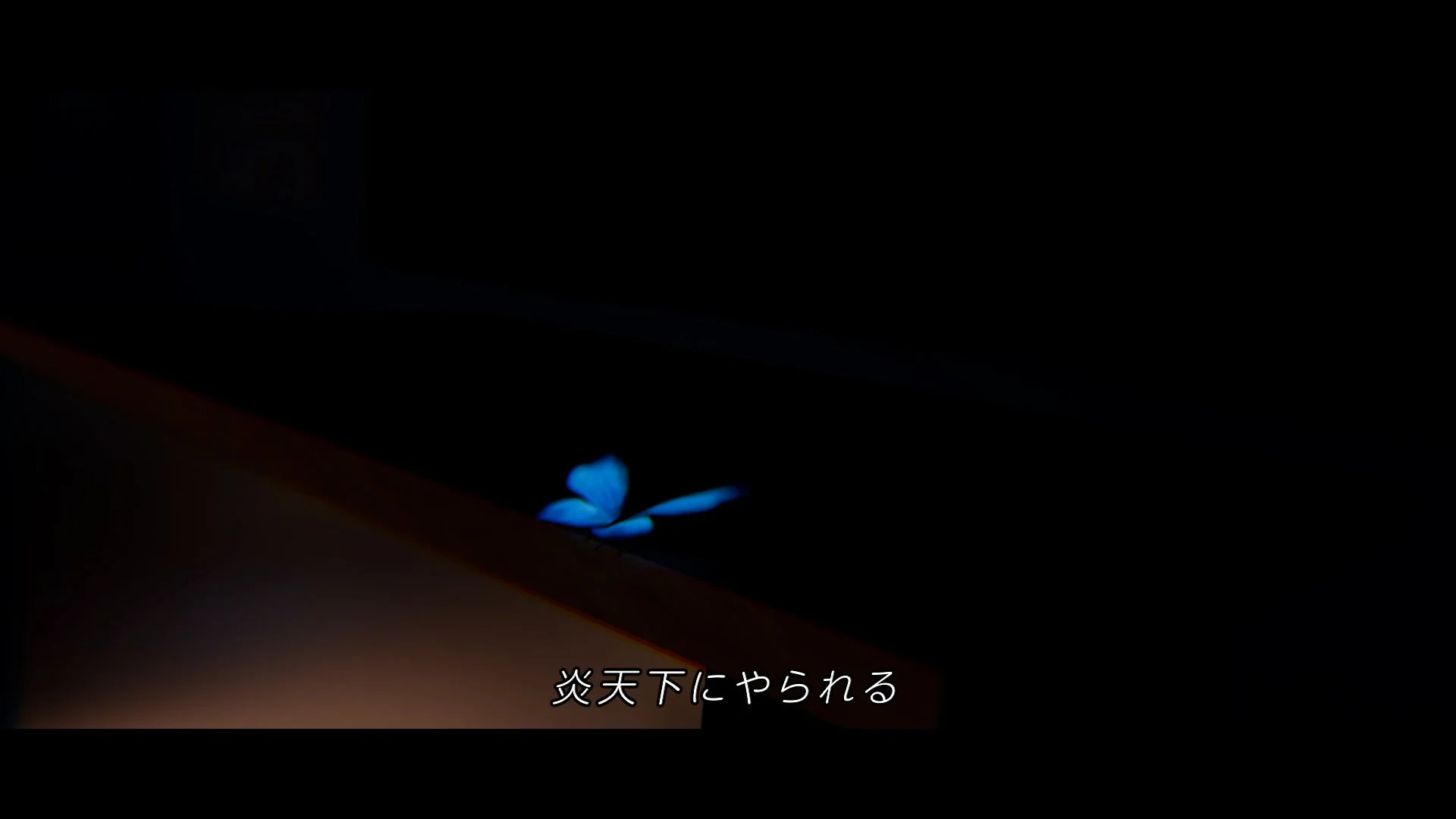 炎天下にやられる