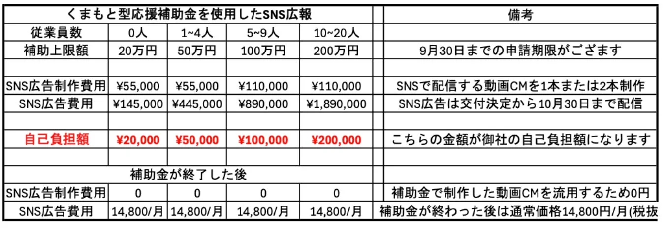 補助金活用時の自己負担額