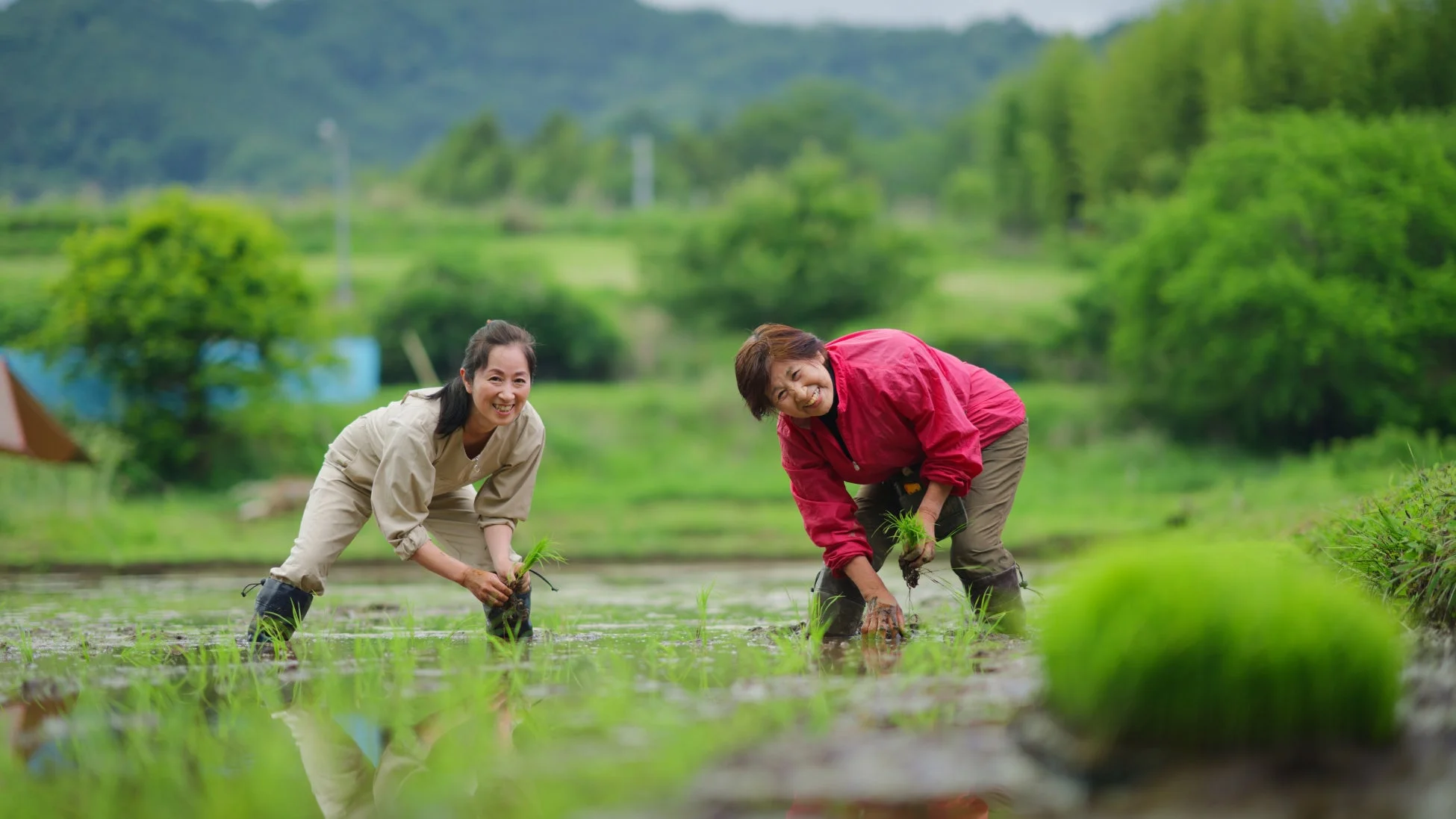 二人の女性が泥だらけになりながらも、笑顔で田植えをしている様子