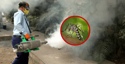 蚊取りサービス作業風景