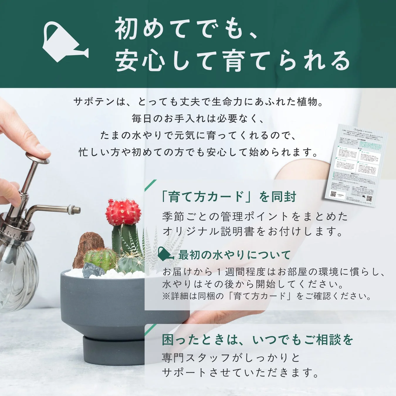 初心者や忙しい人でも安心してサボテンを育てられることをアピール