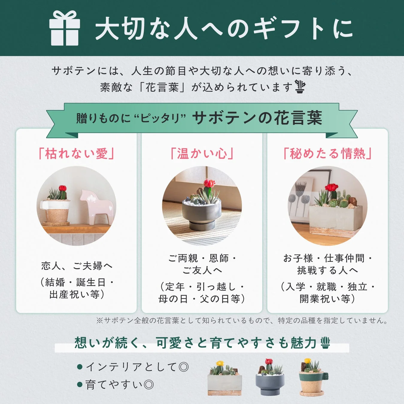 サボテンを大切な人へのギフトとして提案する広告