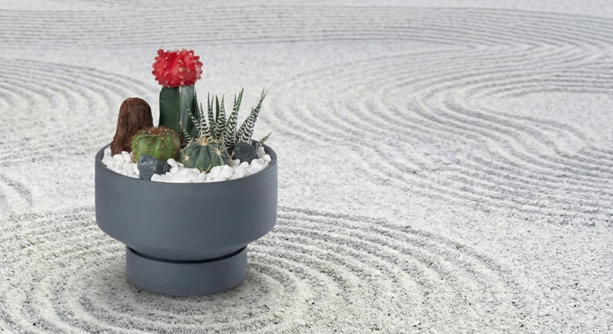 小さな日本庭園を部屋に置く和モダンサボテン