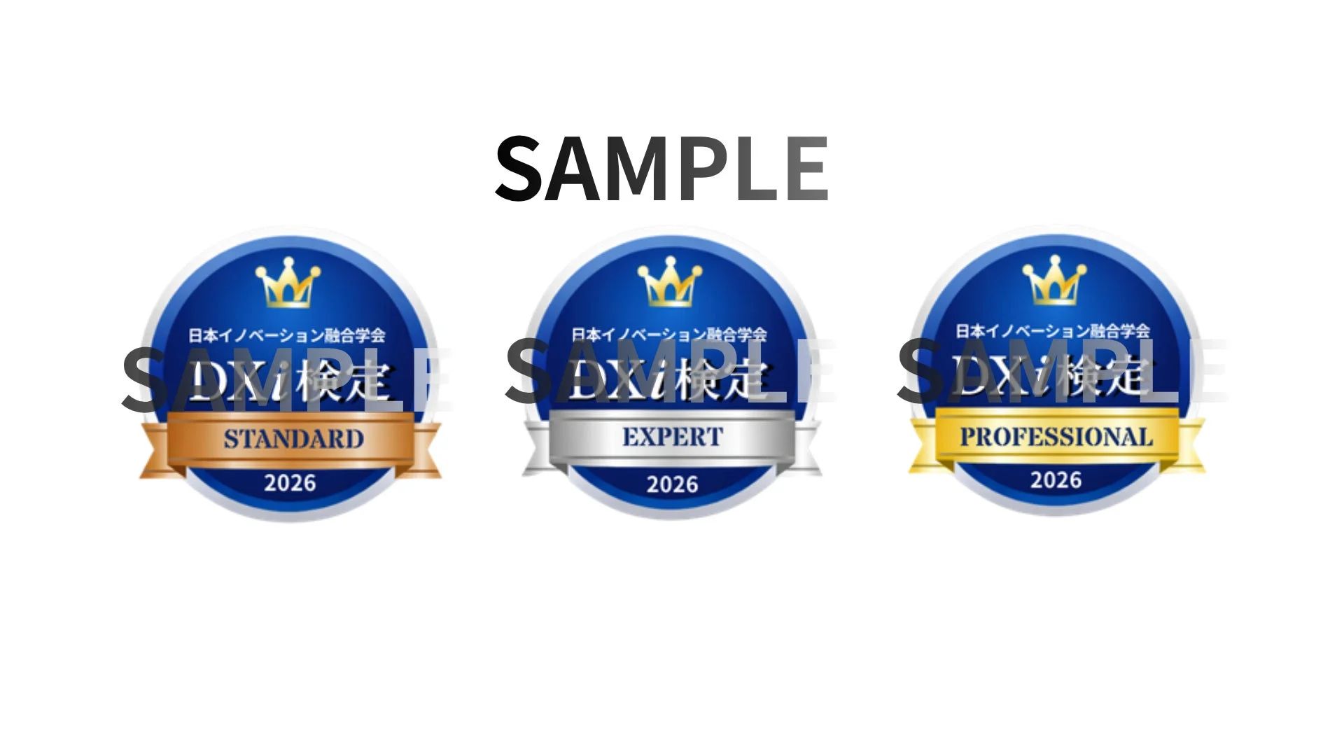 DXi検定のオープンバッジサンプル