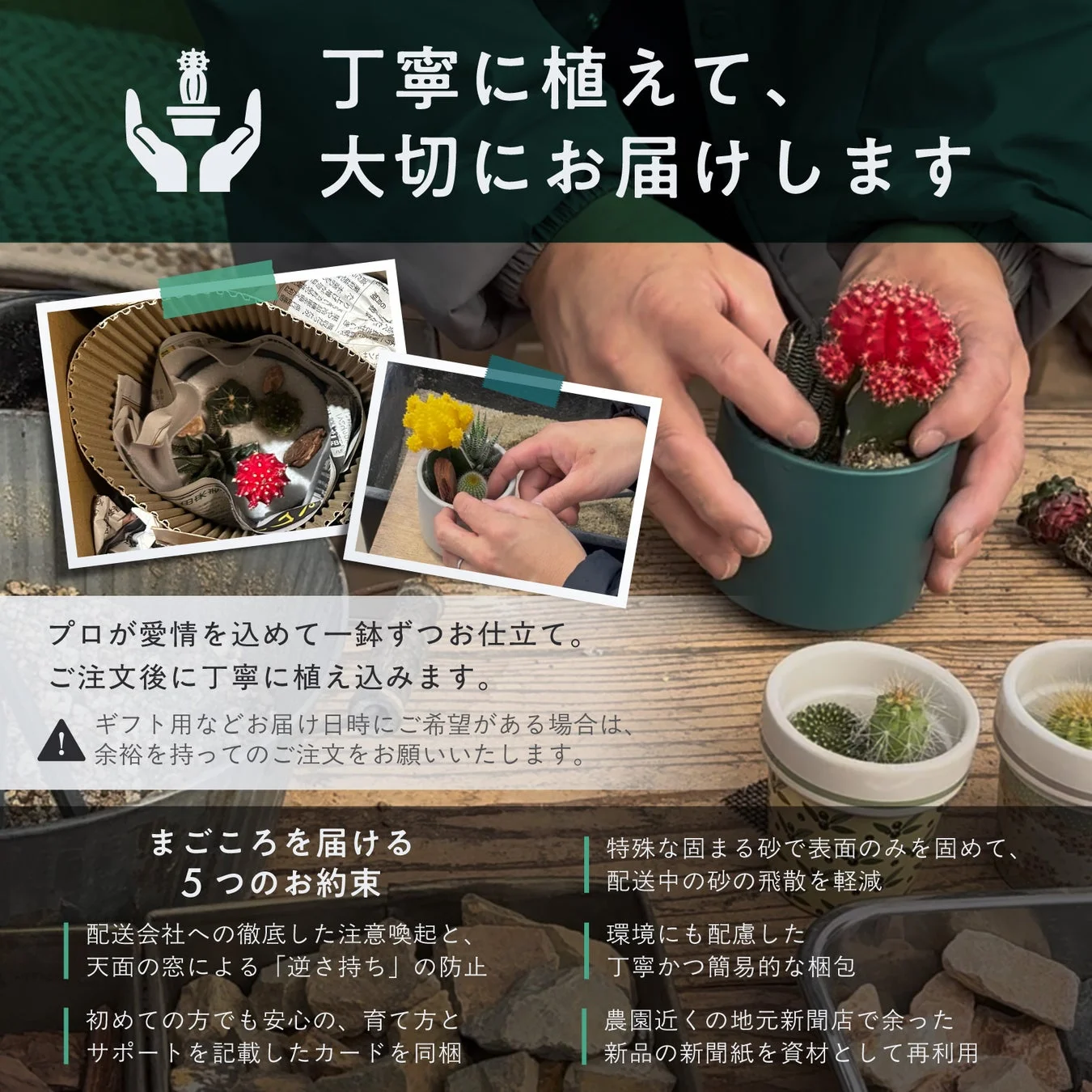 プロが愛情を込めて一つずつ手作業で植え込み、大切に配送するサボテン・多肉植物の販売サービス