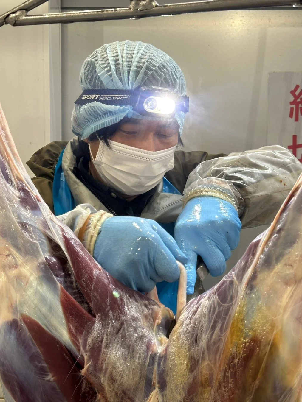 衛生的な環境での食肉処理